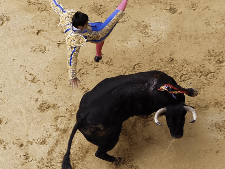 Corridas De Toros En Colombia Tradici N Vs Repulsi N