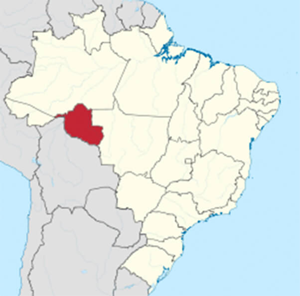 Rondonia region indio del hoyo 