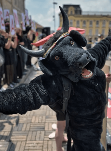 Corridas de toros en Colombia: tradición vs. repulsión