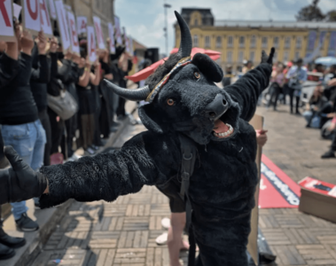 Corridas de toros en Colombia: tradición vs. repulsión