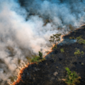 lugar más peligroso para proteger el medio ambiente