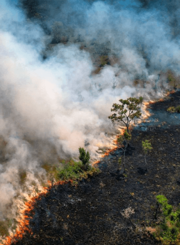 lugar más peligroso para proteger el medio ambiente