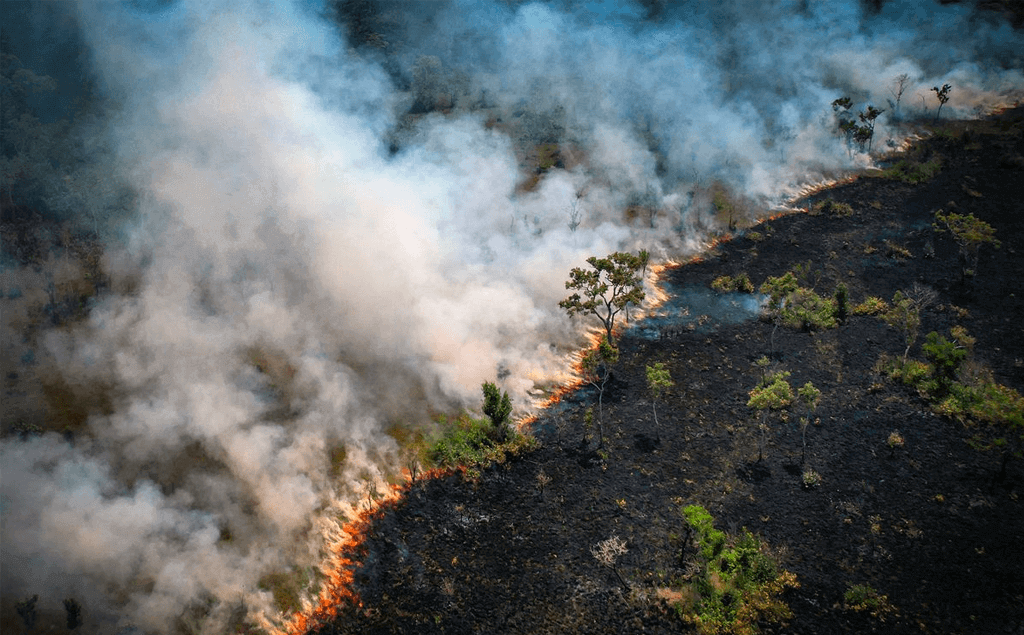 lugar más peligroso para proteger el medio ambiente