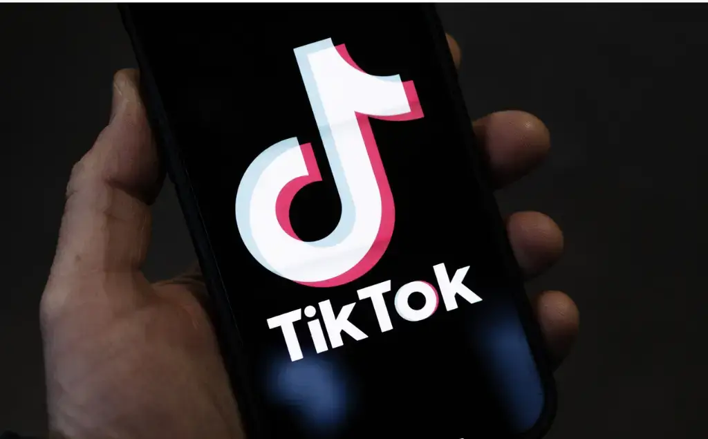 Tik Tok, red social