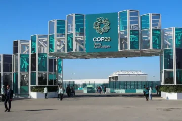 COP 29