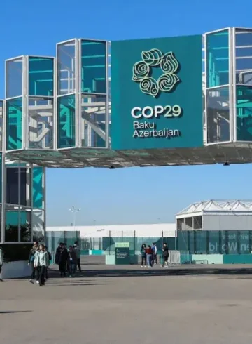 COP 29