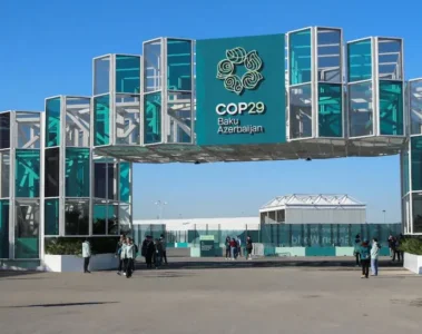 COP 29