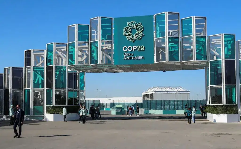 COP 29