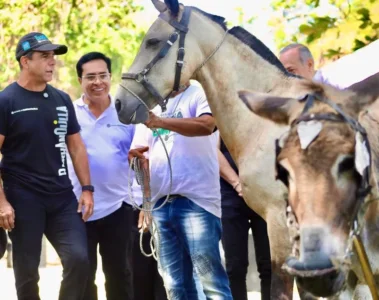 prohibición de animales en barranquilla