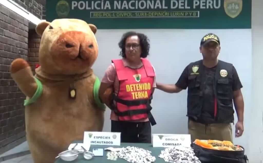 Capibara en Perú