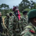 ELN en la selva
