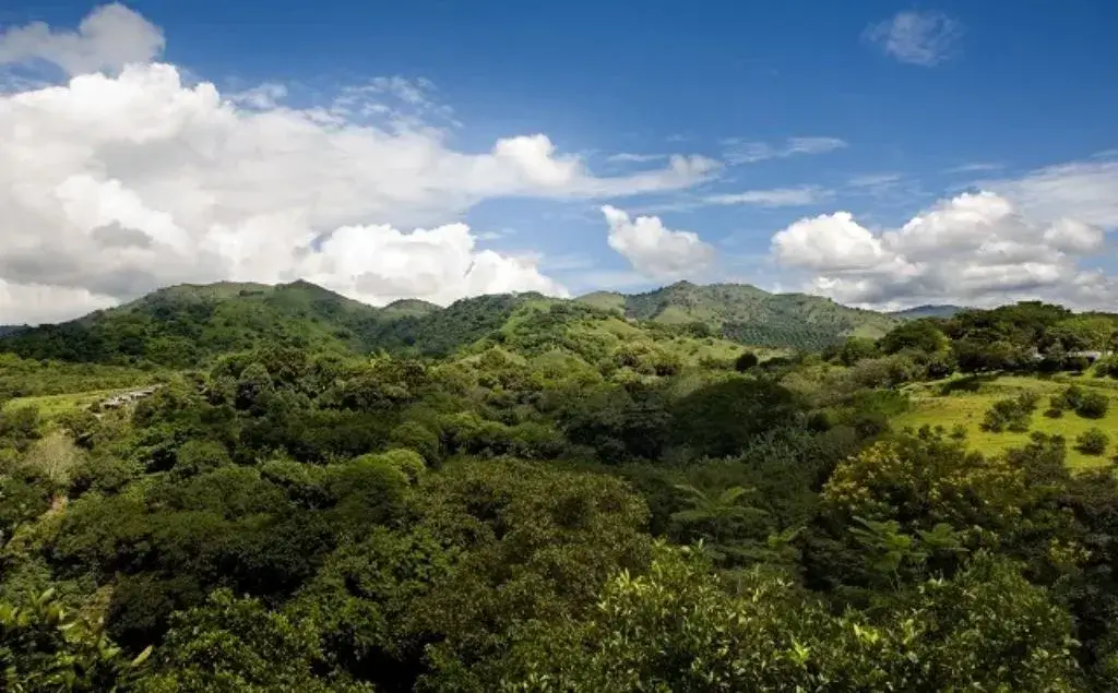 Deforestación en Costa Rica