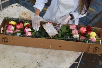 Flores colombianas para san valentin