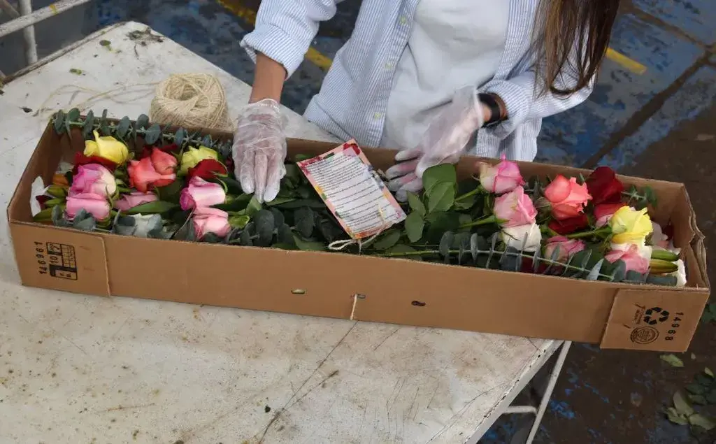 Flores colombianas para san valentin