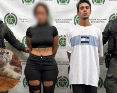 Pareja que secuestró un gato