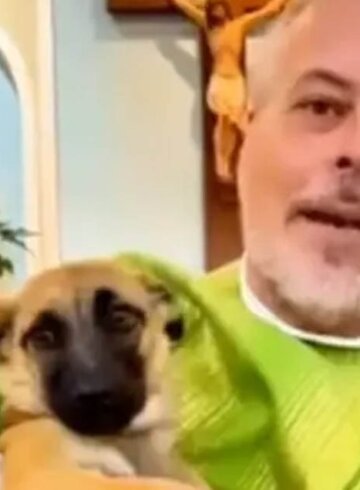 Cura en Brasil rescata perritos