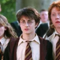 actores de harry potter