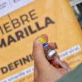 Fiebre amarilla