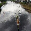rio contaminado por petróleo