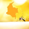 Fiebre amarilla en colombia