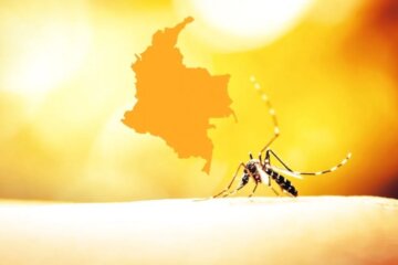 Fiebre amarilla en colombia
