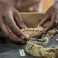 huella dactilar humana