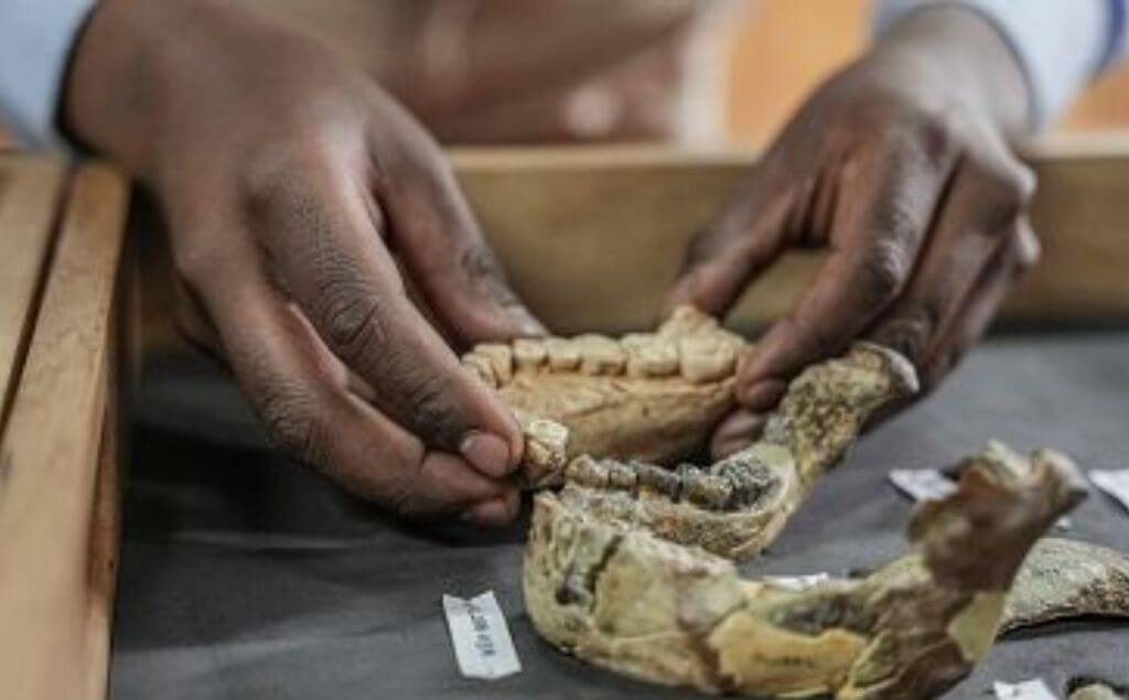 huella dactilar humana