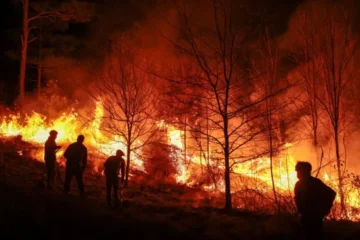 Incendios forestales en canadá
