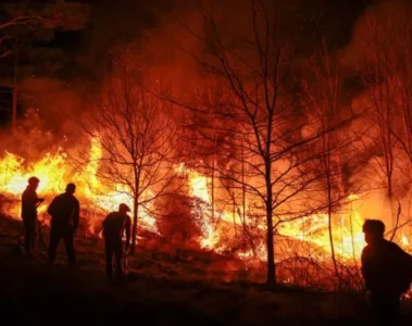 Incendios forestales en canadá