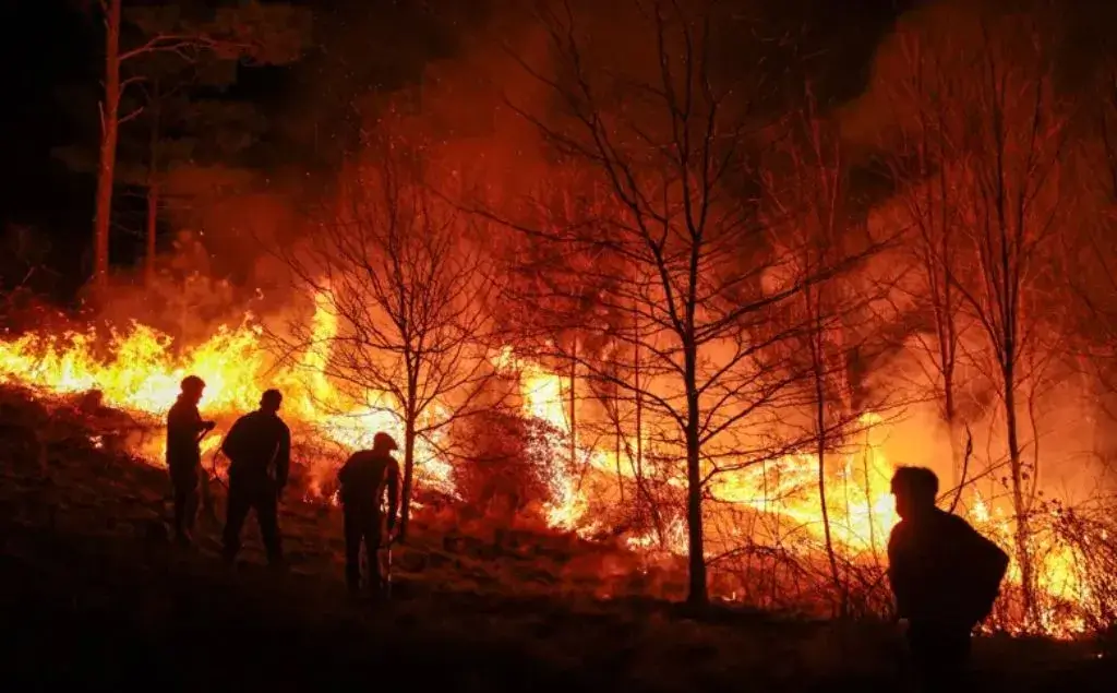 Incendios forestales en canadá