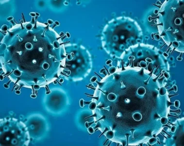 Virus de Covid 19 no fue una fuga según la OMS