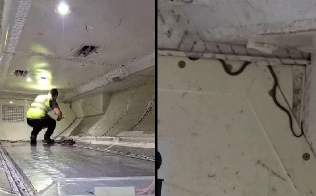 Una serpiente en un avión